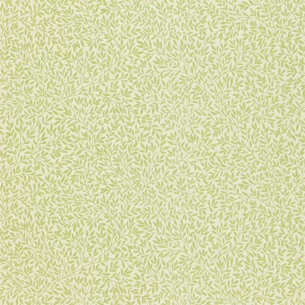 Compilation Standen Fennel Dcmw216833 Brun Tapet