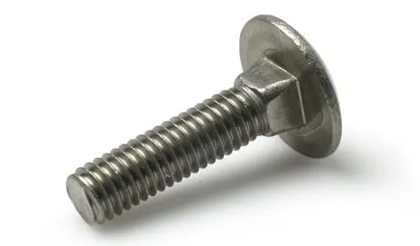 Schäfer & Peters 060346100 Vagnsbult M6 MVBF A4, DIN 603, 100-pack M6 x 100 mm